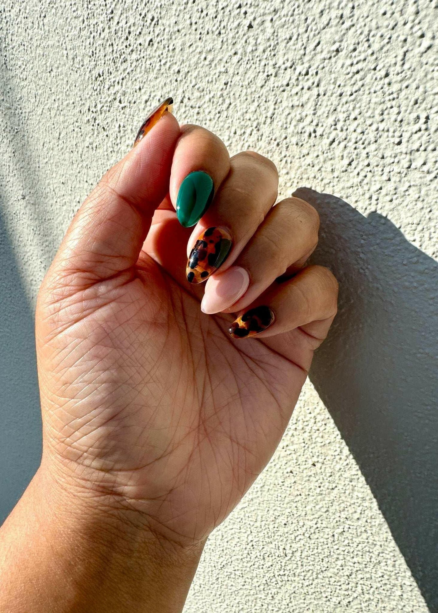 Tortie Glam - Meadowlark & Poppy