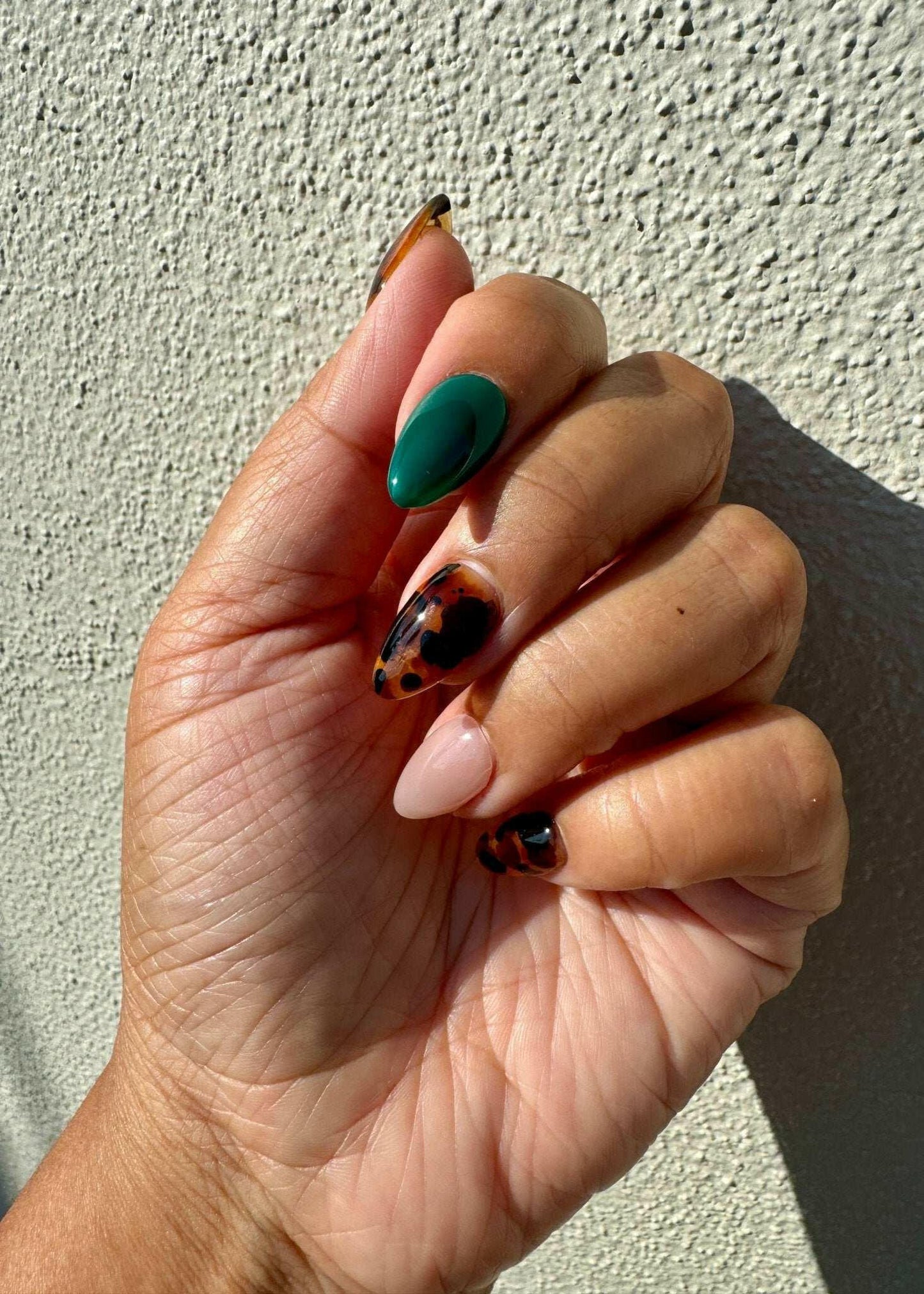 Tortie Glam - Meadowlark & Poppy